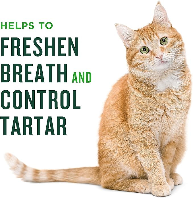 Minties Teeth Cleaner Dental Cat Treats Chicken Flavored 2.5 oz Walmart