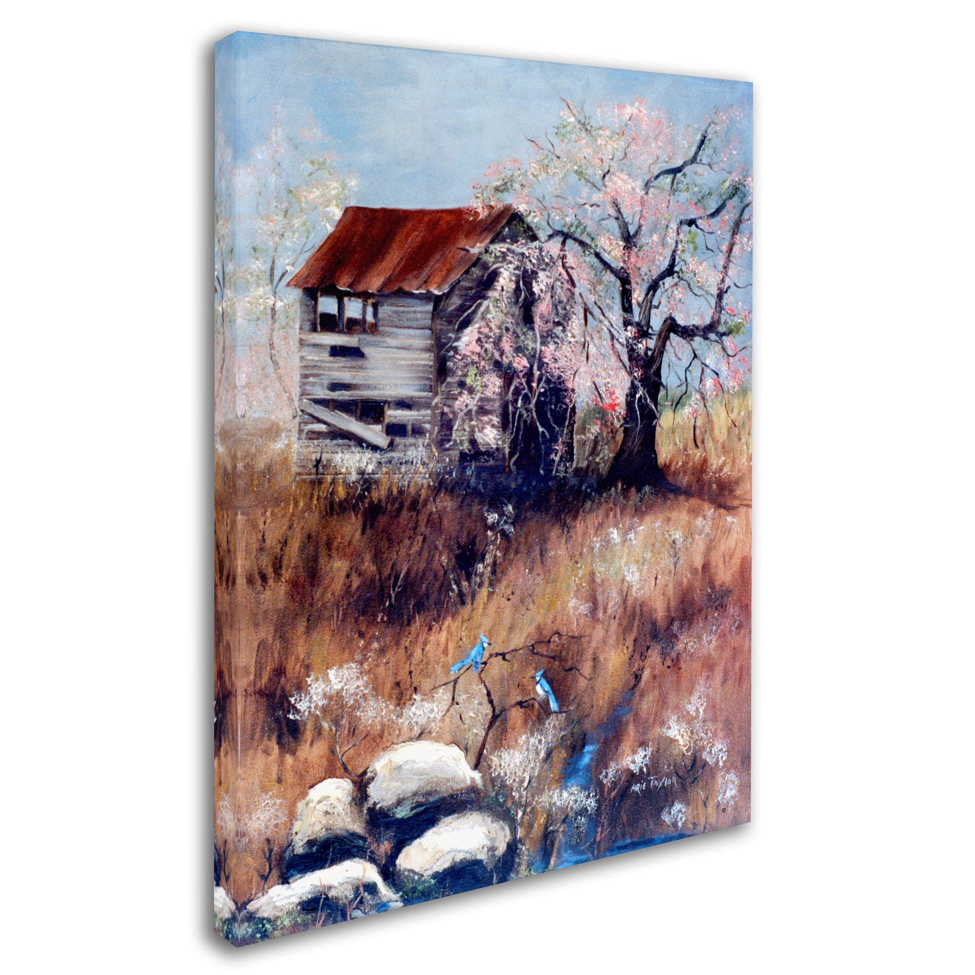 Trademark Fine Art 'The Old Tater House' Canvas Art by Arie Reinhardt Taylor