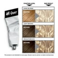 L'Oreal Paris Colorista Bleach All Over 1 kit