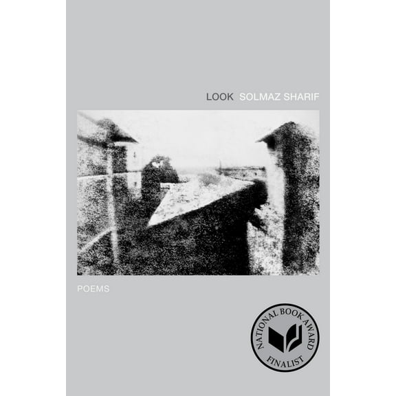 Look: Poems, (Paperback)