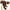 Coffee, variant on TAIAOJING Toddler Baby Kids Girls Soft Warm Winter Tights Stocking Cotton Full Length Pants Tights Children Leggings Pantyhose Trendy Clothes, 0-3 Months