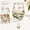 D, variant on 2026 Hummingbird Morning Glass Cup Decorative Nature Art Juice Glass for Home Use, Hand-Painted Cat & Leaf Design, Gold Rim Clear Beverage Cup, 1 PC