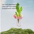 thumbnail image 6 of Bird Cage Feeder for Vegetable, Parrot Veggies Holder with Water-Storage Design to Keep Greens Fresh, No Mess Hanging Parrot Feeder, Quick Clean Clip, No Spill Feeders for Conures, 6 of 8