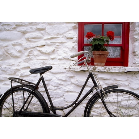 Park Cottages - Bunratty Folk Park County Clare Ireland Cottage Window And Bicycle Stretched Canvas - Richard Cummins Design Pics (36 x 24)