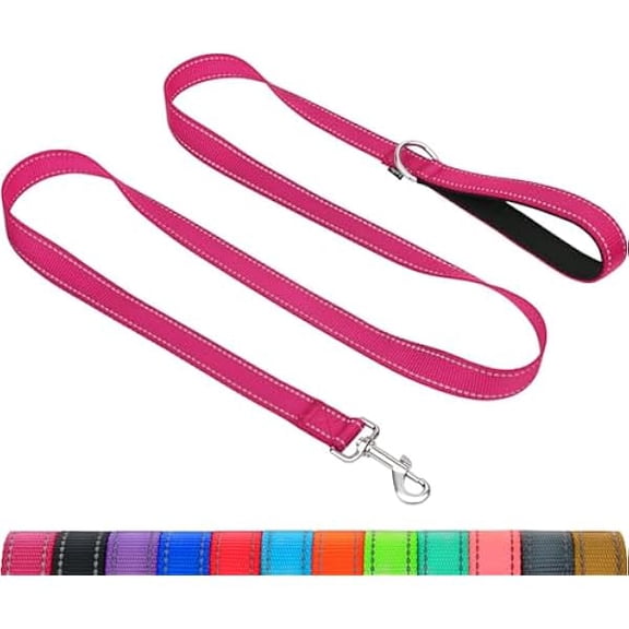 Eryueer Dog Leash for Small Dogs, Double-Sided Reflective Leash with Soft Neoprene Padded Handle, 3/4 inch by 6 ft, Fit Small Medium Large Breeds Under 20 lbs, Hot Pink