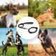 thumbnail image 5 of Dinheiro Collar para perro reflectante suave correa cómoda seguridad ajustable nailon impermeable,, 5 of 5