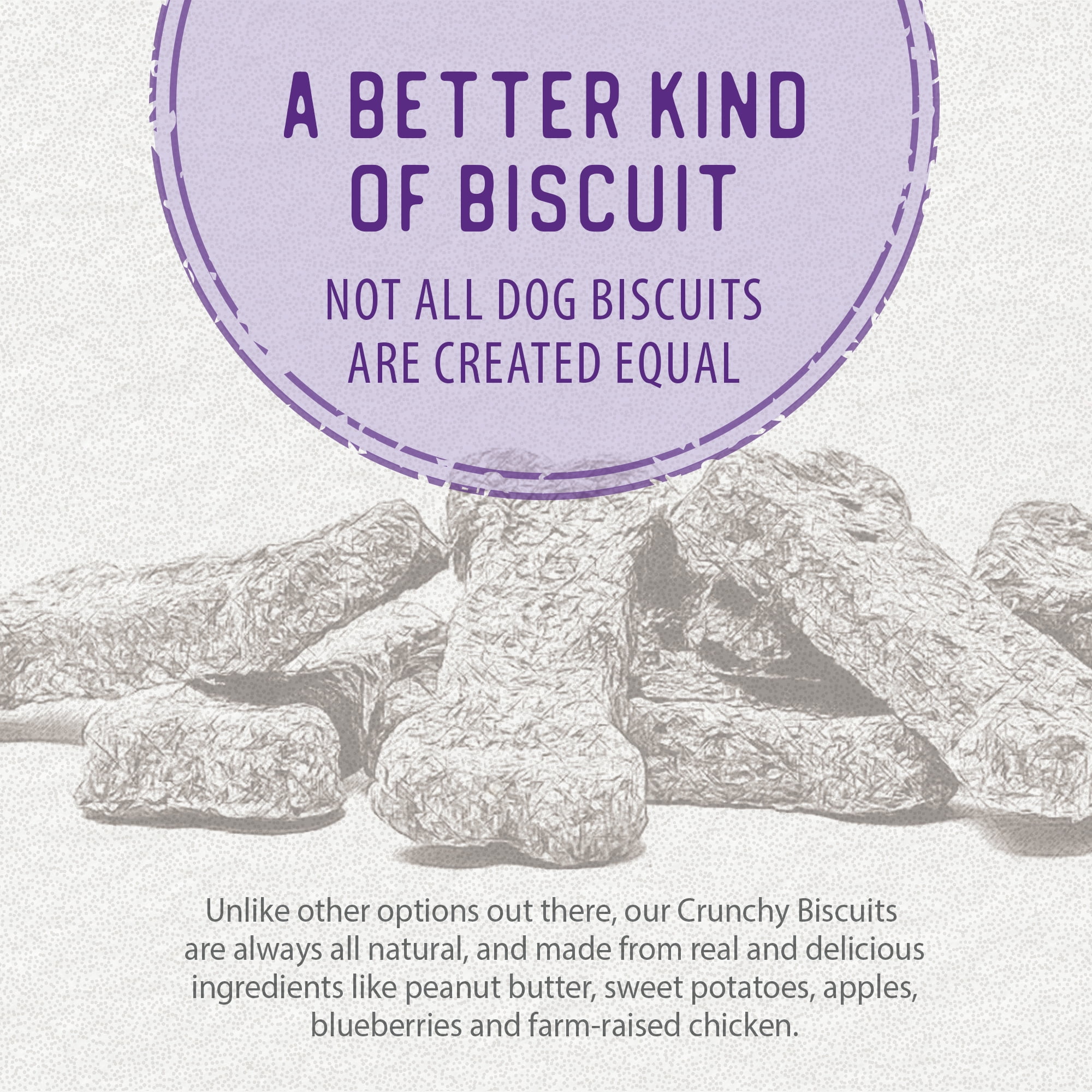 Biscuits croquants Caledon Farms - Friandises pour chiens au poulet, aux pommes et aux myrtilles, 553 grammes CALEDON FARMS BISCUIT CROQUANTS PL