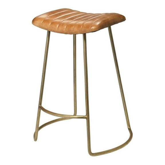 Eden Home Transitional Leather and Iron Counter Stool in Brown/Gold