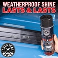 thumbnail image 4 of Chemical Guys Nice & Wet Spray Brillo para Llantas 2 Pack 950 ml, 4 of 9