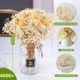 thumbnail image 3 of 4000+ Dried Babys Breath Flowers Bulk - 17" Ivory White Dried Flower Bouquet, Real Natural Gypsophila Branches for Vase Filler, Wedding, Table Centerpiece, Home Decor, DIY Wreath Floral, Crafts, 3 of 7