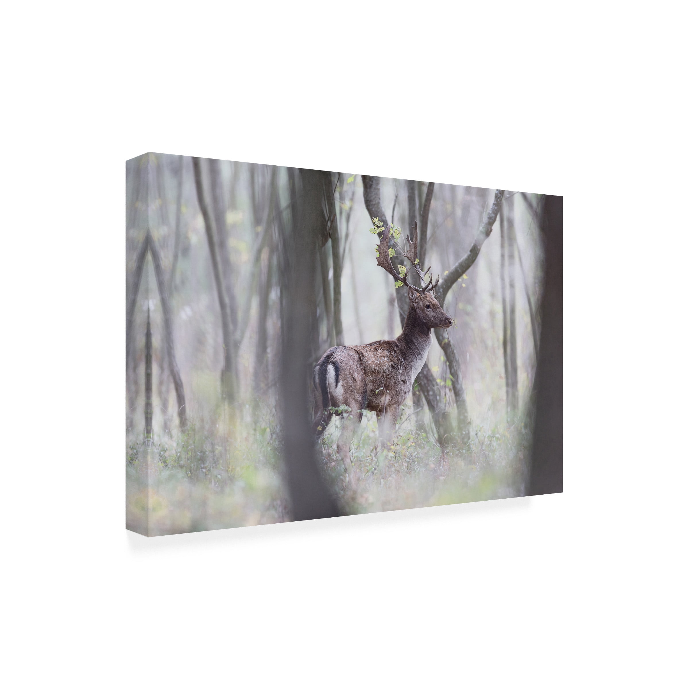 Sebastian Mastahac 'A Hunters View' Canvas Art