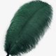 thumbnail image 3 of Plumas de Avestruz Larryhot Verdes de 16-18" Paquete de 10 para Manualidades y Decoración, 3 of 6