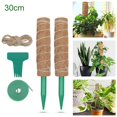 thumbnail image 4 of de soporte de barra de escalada para plantas Monstera para plantas Juego de 30 cm. Zulema postes de musgo, 4 of 8