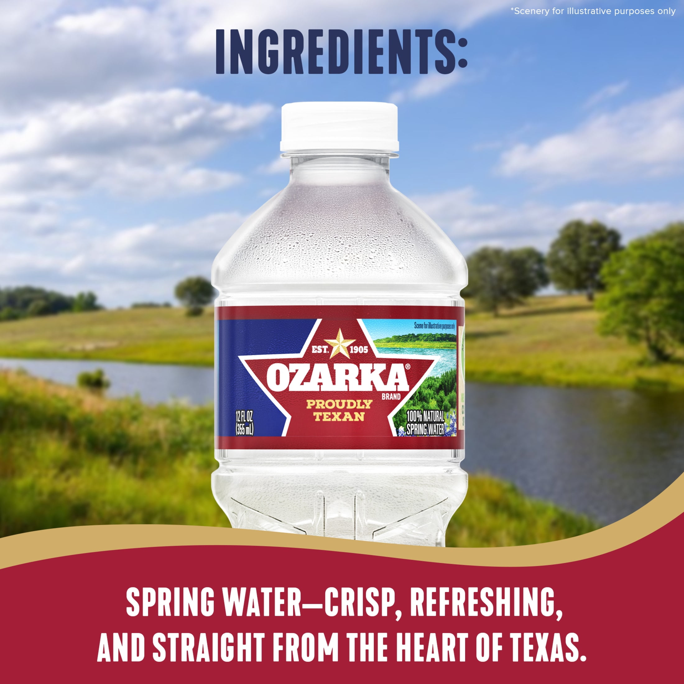 (2 pack) Ozarka Texas Spring Water, 12 fl oz, 12-pack Plastic Bottles