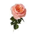 thumbnail image 4 of Ramo de rosas artificiales para aniversario, hogar, hidratante, rosa realista. Naranja claro, 4 of 9