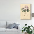thumbnail image 3 of Trademark Fine Art 'Rhododendron Vintage' Canvas Art by Wild Apple Portfolio, 3 of 4