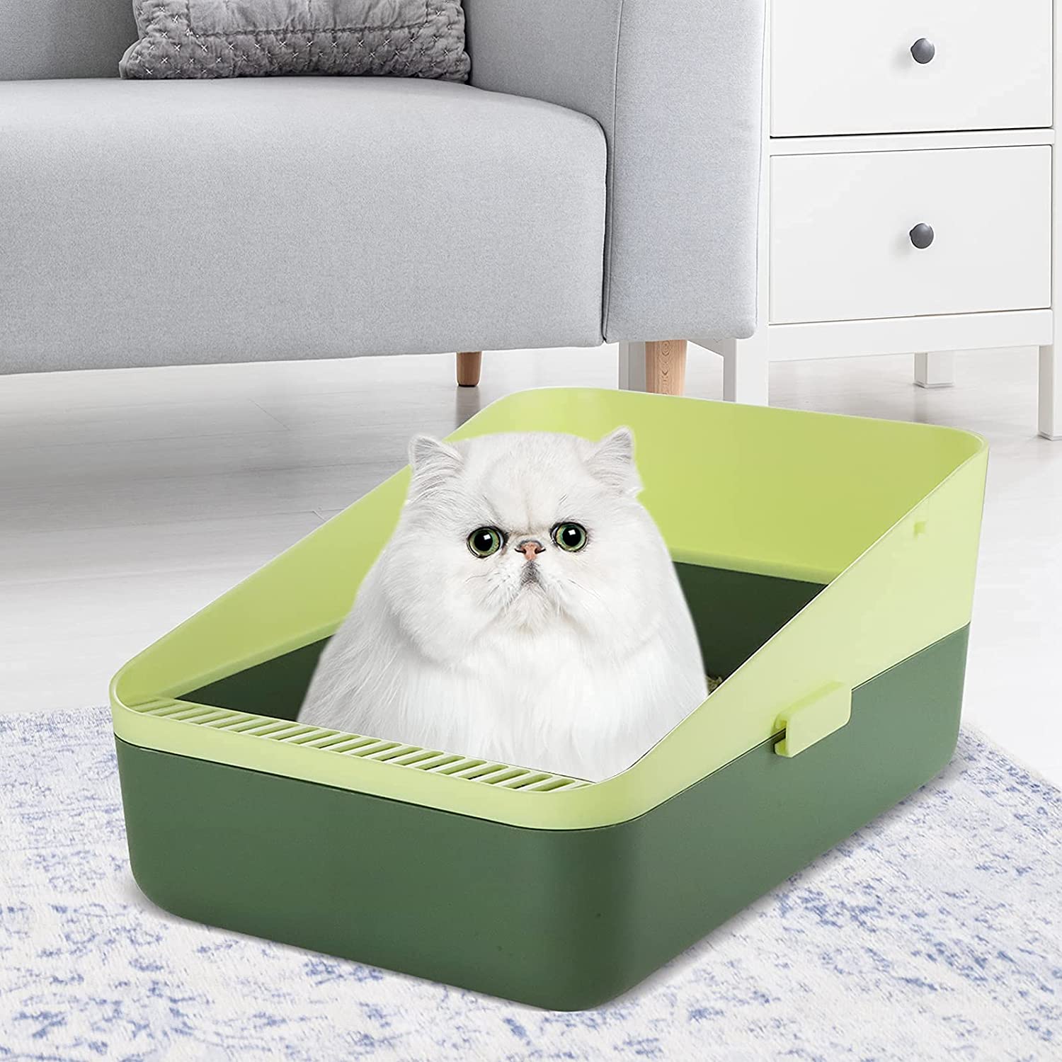 small cat box