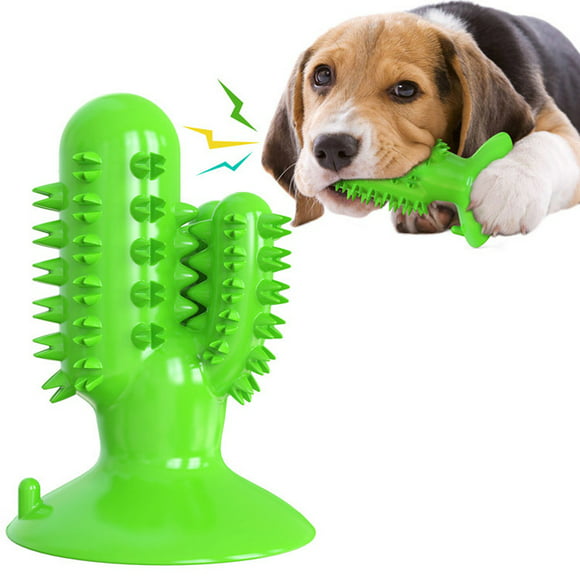 cactus dog toy target