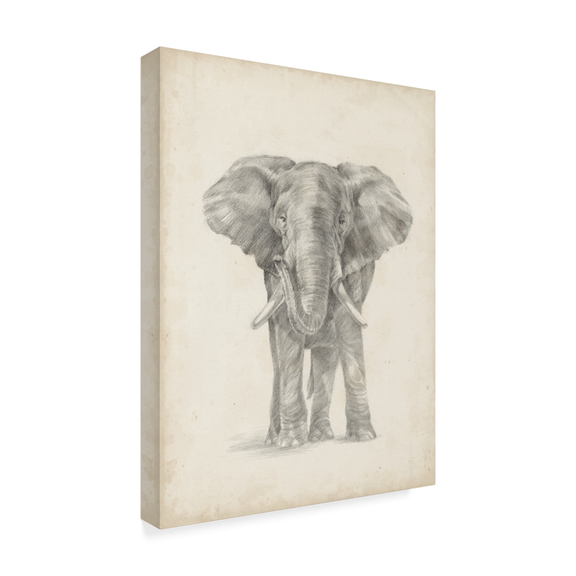 Trademark Fine Art 'Elephant Sketch II' Canvas Art by Ethan Harper