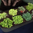 thumbnail image 4 of CRILSTYLEO Bolsa De Crecimiento Vegetal Para Jardín Con Compartimentos Y Tela De Fieltro, 4 of 8