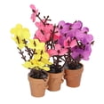 thumbnail image 1 of 1:12 Échelle Maison de Poupée Pot de Fleur, Haute Simulation Maison de Poupée Pot de Fleur Solidité Résine Multicolore pour Accessoires Maison de Poupée, 1 of 8