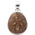 thumbnail image 2 of Madagascar Fossil Sand Dollar 925 Sterling Silver Pendant, 1 1/4", 2 of 3