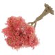 thumbnail image 2 of Miniature Model Trees for DIY Crafts, Wire Train Scenery, Micro Landscape Architecture Decor for Home, 2 of 4
