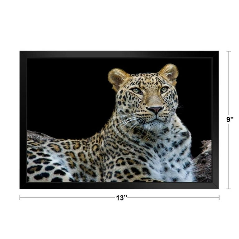 Leopard Face to Face Photo Leopard Pictures Wall Decor Jungle Animal  Pictures for Wall Posters of Wild Animals Jungle Leopard Print Decor Animal  Wall Decor Stand or Hang Wood Frame Display 9x13 