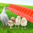 thumbnail image 3 of Interlocking Chicken and Pigeons Feeder 12/28 Holes Prevents Feed Waste, 3 of 11