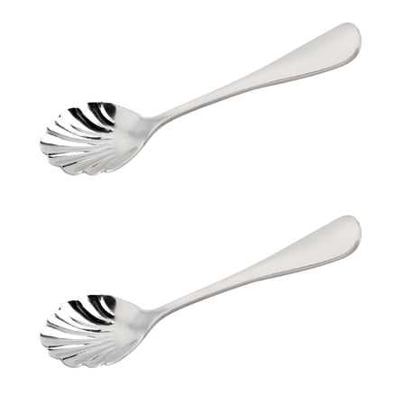 ACDANC 2pcs Stainless Steel Shell Shaped Mixing Spoons