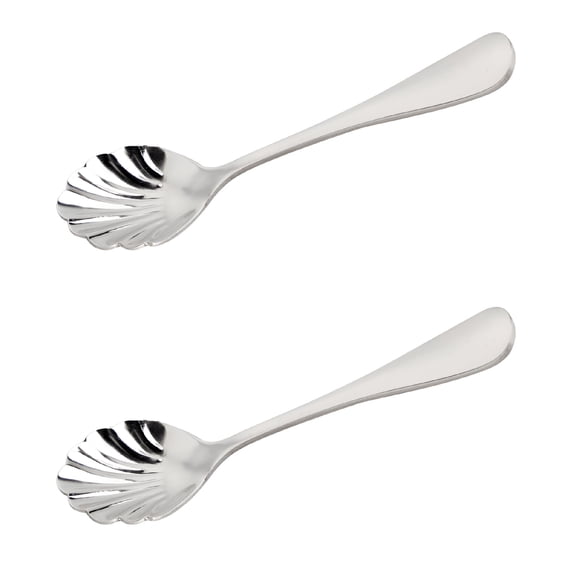 ACDANC 2pcs Stainless Steel Shell Shaped Mixing Spoons