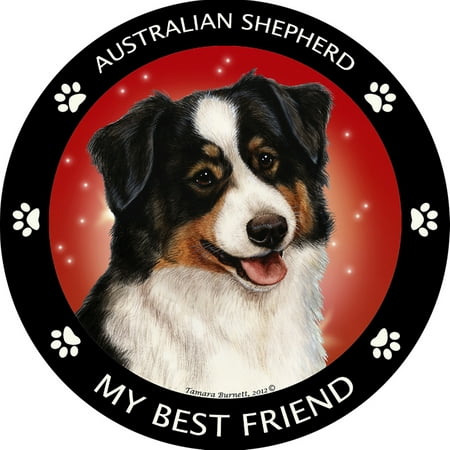 Black Tri Australian Shepherd My Best Friend (Best Toys For Australian Shepherd)