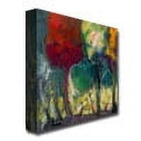Trademark Fine Art "Aquas Rojas" Canvas Art by Boyer