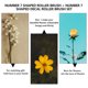 thumbnail image 4 of 50 unidades de tubos de agua con flores nutritivas, transparentes, para floristería., 4 of 5