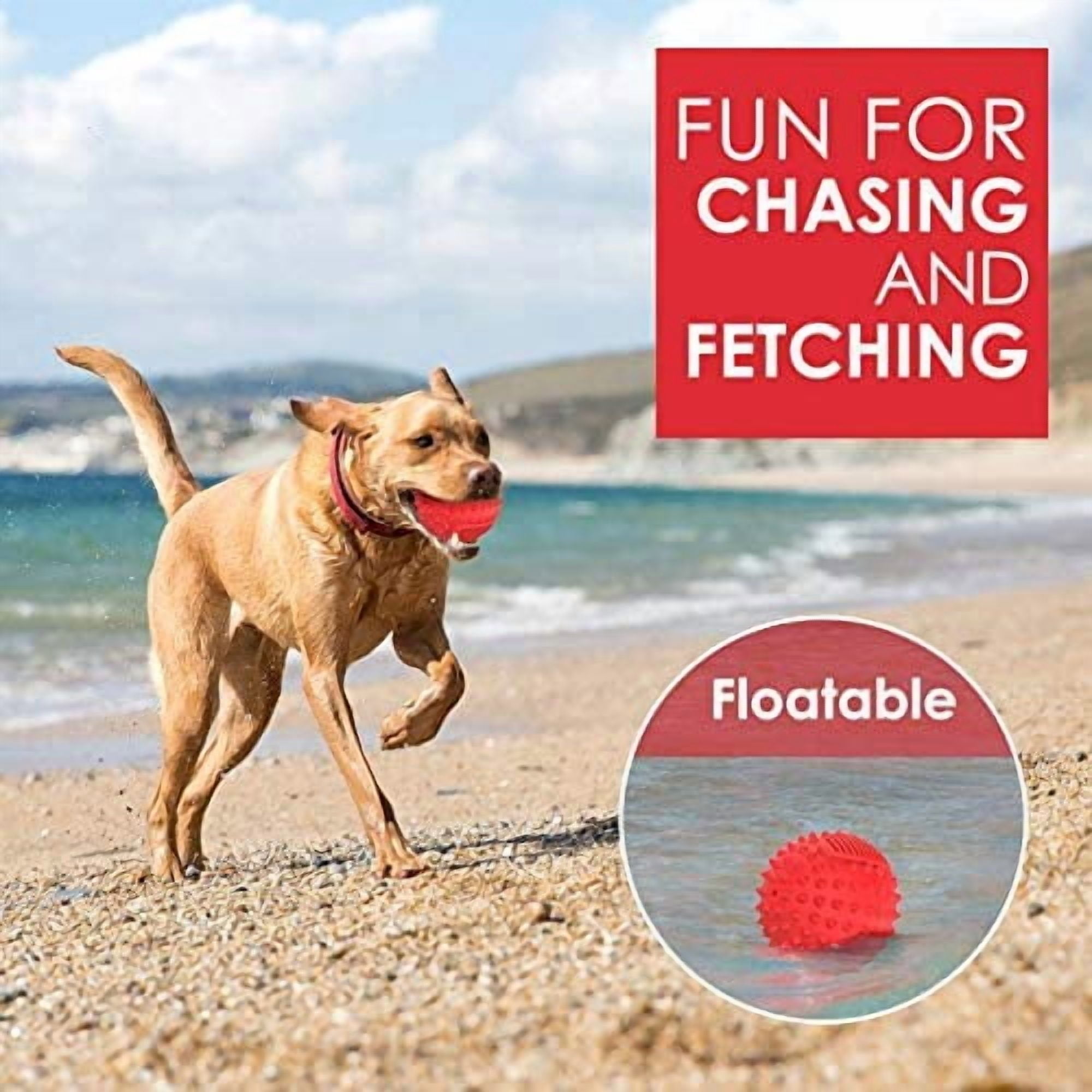 4" Squeaky Dog Balls for Aggressive Chewers, Durable Interactive Dog Chew Toys for Teething, Floatable Indestructible Rubber Spiky Ball, Tough Pet Toys for Small, Medium & Large Breeds
