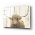 thumbnail image 2 of Epic Art 'Highland Cow Shiplap' by James Wiens, Acrylic Glass Wall Art, 24"x16", 2 of 8