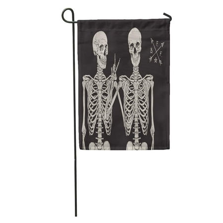 LADDKE Skull Human Skeletons Best Friends Posing Over Drawn Hand Man Garden Flag Decorative Flag House Banner 12x18