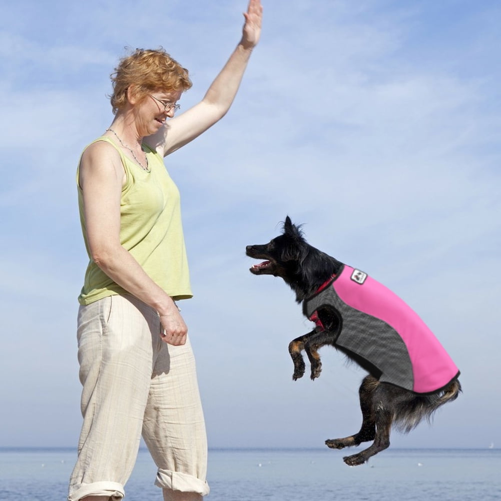 summer dog training vest