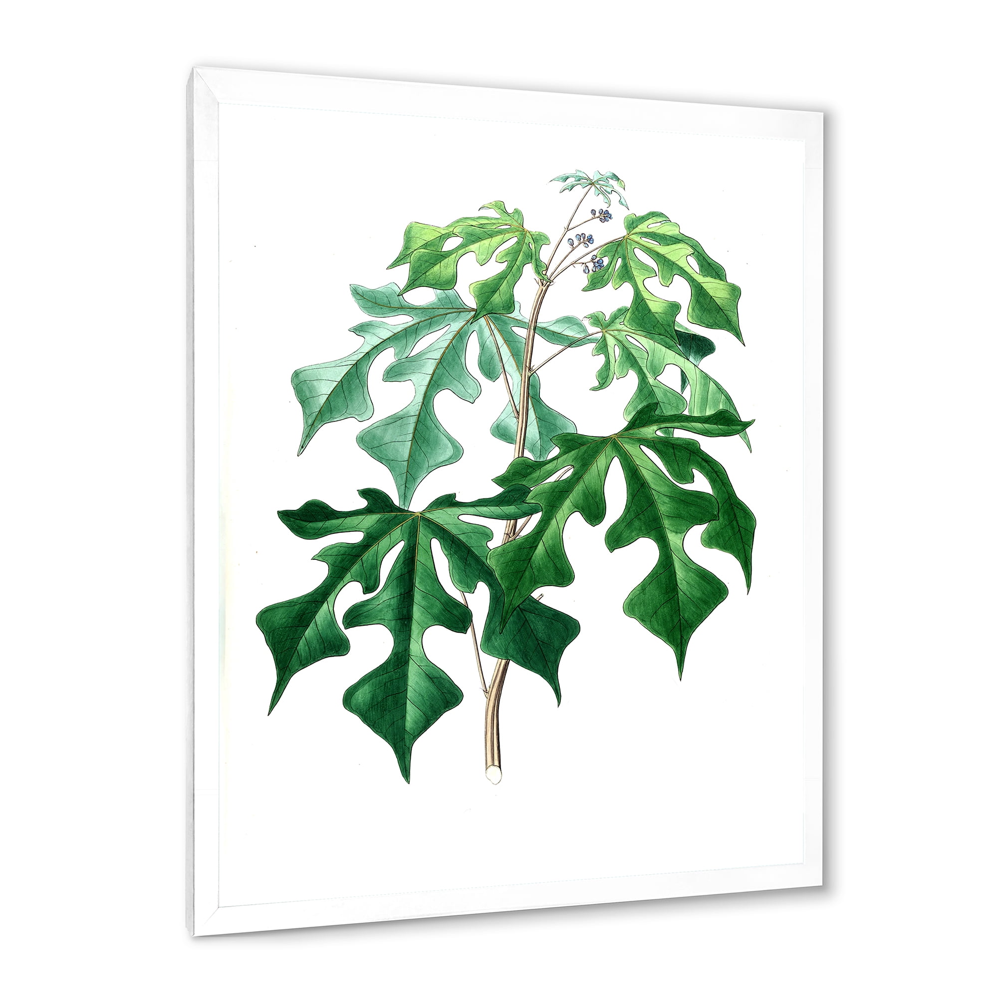Designart 'Ancient Green Leaves Plants II' Traditional Framed Art Print