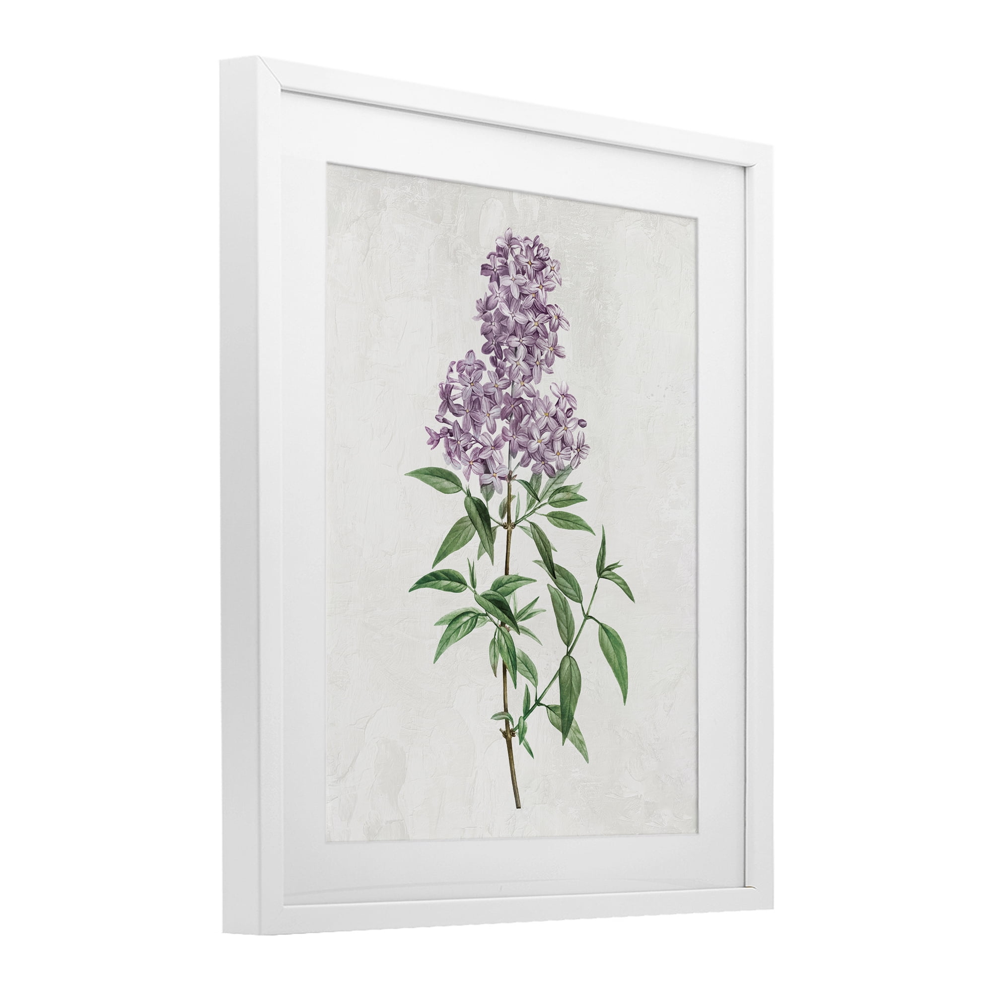 Stupell Industries Lilac Blossoms Blooms White Framed Print Under Glass, design by Kim Allen