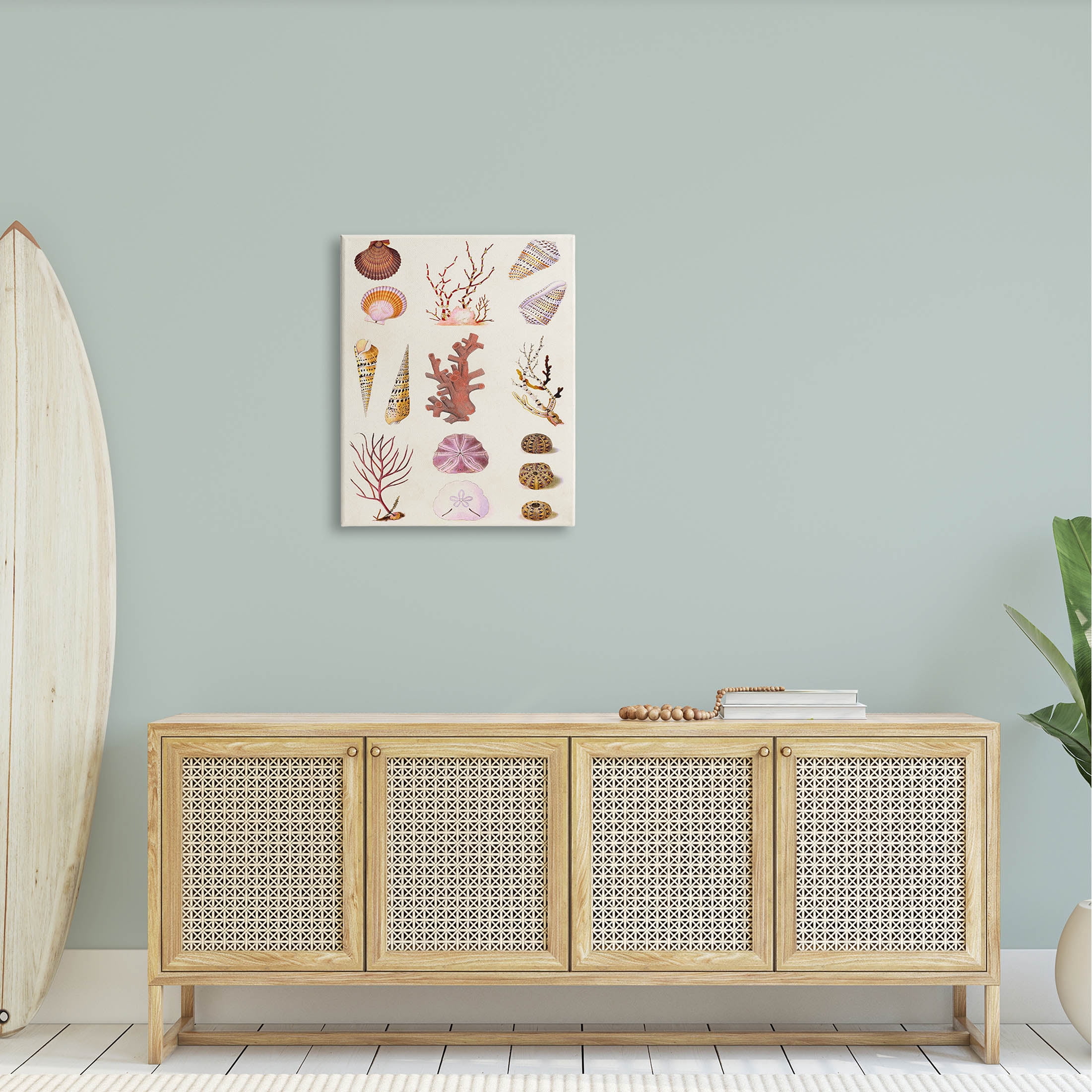 Stupell Industries Mixed Nautical Sea Life Corals Shells Graphic Art Gallery Wrapped Canvas Print Wall Art, Design by Vision Studio