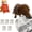 5pcs, variant on Dog Newspaper Toy, 3/5/10 Pcs Indestructible Newspaper with Crinkle Paper and Squeaker Tough Fabric Interactive Pet Chew Boredom Relief Crinkle Dog for Small Medium Breed Puppies (3pcs)