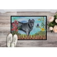 thumbnail image 2 of Carolines Treasures CK1256MAT Cane Corso Spring Indoor or Outdoor Mat - 18 x 27 in., 2 of 4