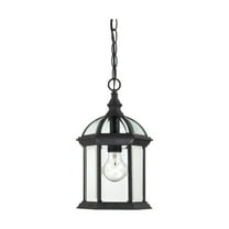 Nuvo 60-4979 - Boxwood - 1 Light - 14" Outdoor Hanging W/ Clear Beveled Glass
