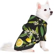thumbnail image 2 of Fotbe Lemon Fruits Flowers Leaves Print Small Dog Sweater Hoodies Pet Grey Hooded Soft Fleece Sweatshirts with Pocket Fall Winter Puppy Cat Sweaters Warm Clothes-X-Large, 2 of 7