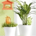 thumbnail image 2 of Sistema De Riego Por Goteo Macetas Y Plantas Chicas 2 Piezas Genérico pajarito, 2 of 2