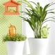 thumbnail image 2 of Sistema De Riego Por Goteo Macetas Y Plantas Chicas 2 Piezas Genérico pajarito, 2 of 2