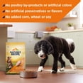 thumbnail image 5 of Nature's Recipe Grain Free Chicken, Sweet Potato & Pumpkin Dry Dog Food, 4 lb Bag, 5 of 11