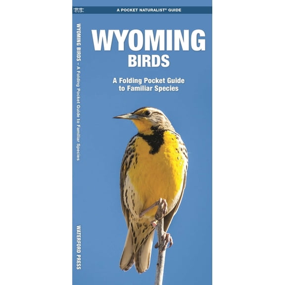 State Nature Guides: Wyoming Birds: A Folding Pocket Guide to Familiar Species (Other)