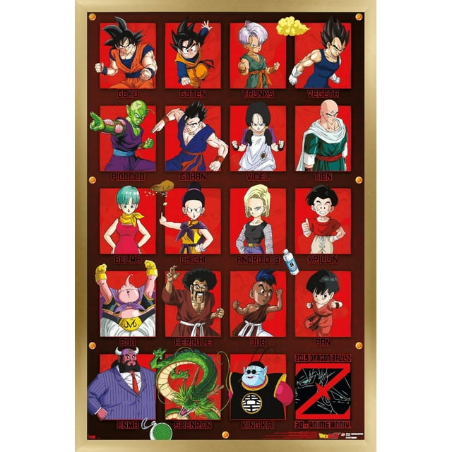 Dragon Ball Z - Anniversaire